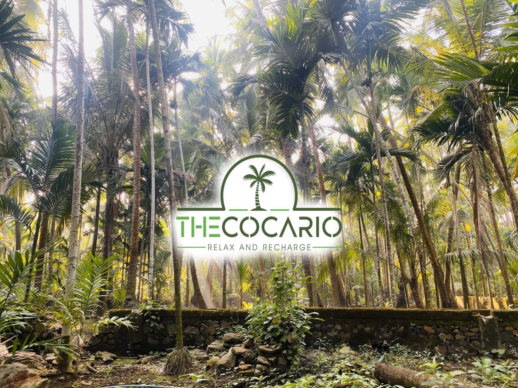 ホテル The Cocario Revadanda エクステリア 写真